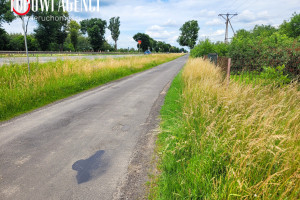 Działka na sprzedaż 4050m2 nowodworski Czosnów Palmiry Firmowa - zdjęcie 1