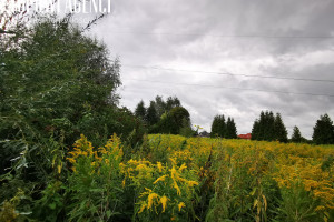 Działka na sprzedaż 1399m2 piaseczyński Lesznowola Kolonia Lesznowola Fabryczna - zdjęcie 2