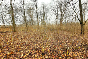 Działka na sprzedaż 12684m2 piaseczyński Góra Kalwaria Baniocha Lipowa - zdjęcie 3