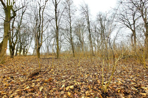 Działka na sprzedaż 12684m2 piaseczyński Góra Kalwaria Baniocha Lipowa - zdjęcie 3