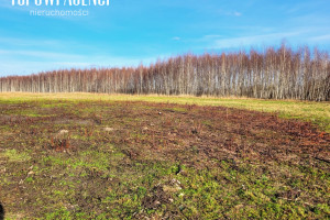 Działka na sprzedaż 21623m2 grodziski Grodzisk Mazowiecki Książenice Mazowiecka - zdjęcie 1