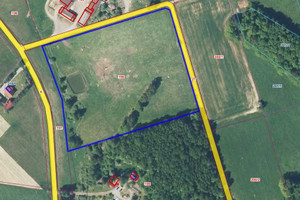 Działka na sprzedaż 22400m2 kielecki Mniów Skoki - zdjęcie 2