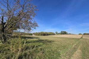 Działka na sprzedaż 6600m2 kielecki Bodzentyn Wiącka - zdjęcie 1