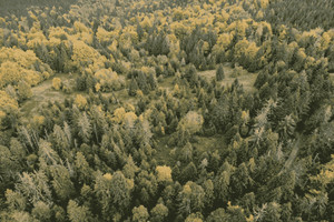 Działka na sprzedaż 29128m2 nowotarski Ochotnica Dolna Młynne - zdjęcie 3