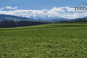 Działka na sprzedaż 13475m2 nowotarski Czarny Dunajec Stare Bystre - zdjęcie 1