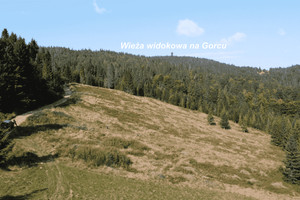 Działka na sprzedaż 17451m2 nowotarski Ochotnica Dolna Gorcowe - zdjęcie 1