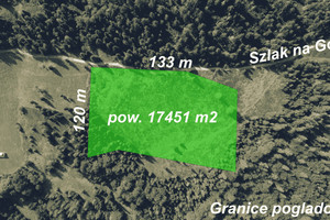 Działka na sprzedaż 17451m2 nowotarski Ochotnica Dolna Gorcowe - zdjęcie 2