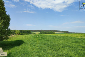 Działka na sprzedaż 3403m2 gdański Trąbki Wielkie Gołębiewo Wielkie - zdjęcie 2