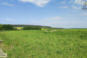 Działka na sprzedaż 3403m2 gdański Trąbki Wielkie Gołębiewo Wielkie - zdjęcie 3