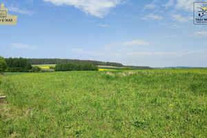 Działka na sprzedaż 3403m2 gdański Trąbki Wielkie Gołębiewo Wielkie - zdjęcie 2