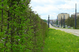 Działka na sprzedaż Dąbrowa Górnicza Reden - zdjęcie 1