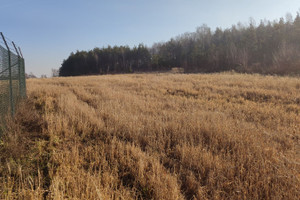 Działka na sprzedaż 133600m2 zawierciański Zawiercie Grobla - zdjęcie 3