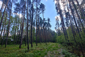 Działka na sprzedaż 1400m2 grodziski Żabia Wola Bieniewiec - zdjęcie 2