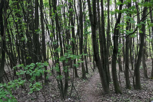 Działka na sprzedaż Kraków Krowodrza Górka Narodowa - zdjęcie 2