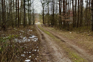 Działka na sprzedaż 22600m2 tomaszowski Inowłódz Poświętne - zdjęcie 1