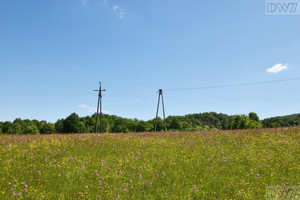 Działka na sprzedaż bocheński Łapanów Tarnawa - zdjęcie 2