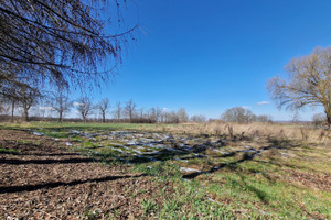 Działka na sprzedaż 1047m2 mikołowski Mikołów Mokierska - zdjęcie 3