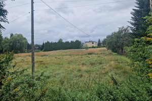 Działka na sprzedaż 4591m2 mikołowski Łaziska Górne Rybnicka - zdjęcie 3