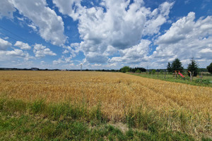 Działka na sprzedaż 1448m2 mikołowski Orzesze - zdjęcie 3