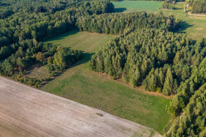 Działka na sprzedaż 15047m2 białostocki Zabłudów Folwarki Małe - zdjęcie 3