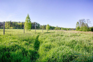 Działka na sprzedaż 7964m2 moniecki Knyszyn - zdjęcie 1