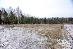 Działka na sprzedaż 1250m2 augustowski Płaska Mołowiste - zdjęcie 1