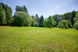 Działka na sprzedaż 28000m2 sokólski Janów Kuplisk - zdjęcie 3