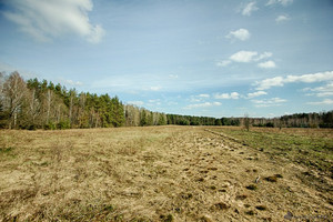 Działka na sprzedaż 3000m2 białostocki Gródek Zarzeczany - zdjęcie 3