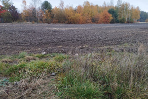 Działka na sprzedaż 2000m2 grodziski Żabia Wola Żelechów - zdjęcie 3