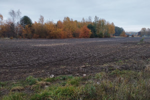 Działka na sprzedaż 1000m2 grodziski Żabia Wola Żelechów - zdjęcie 1