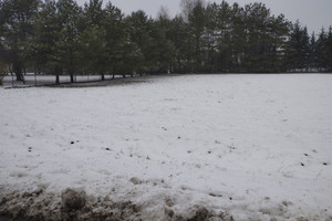 Działka na sprzedaż 1300m2 grodziski Żabia Wola Żelechów - zdjęcie 2