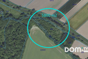 Działka na sprzedaż 5800m2 wrocławski Kąty Wrocławskie Gniechowice - zdjęcie 1