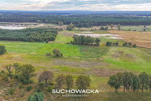 Działka na sprzedaż 8900m2 nowosolski Nowa Sól Lelechów - zdjęcie 3