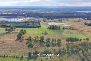 Działka na sprzedaż 8900m2 nowosolski Nowa Sól Lelechów - zdjęcie 2