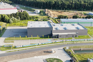 Komercyjne do wynajęcia 3200m2 Zielona Góra Nowy Kisielin-Rozwojowa - zdjęcie 2