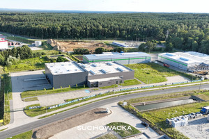 Komercyjne do wynajęcia 3200m2 Zielona Góra Nowy Kisielin-Rozwojowa - zdjęcie 1