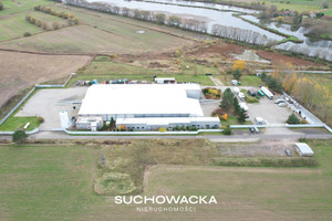 Komercyjne do wynajęcia 5300m2 krośnieński Gubin Czarnowice Czarnowice - zdjęcie 1