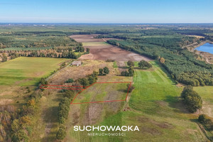 Działka na sprzedaż 8900m2 nowosolski Nowa Sól Lelechów - zdjęcie 1