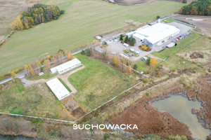 Komercyjne do wynajęcia 5300m2 krośnieński Gubin Czarnowice Czarnowice - zdjęcie 3