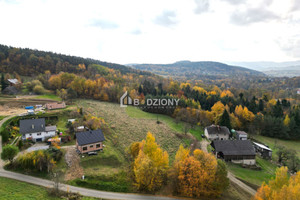 Działka na sprzedaż 6500m2 nowosądecki Łososina Dolna Witowice Dolne - zdjęcie 2