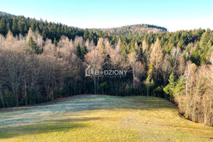 Działka na sprzedaż 1955m2 nowosądecki Stary Sącz Barcice Górne - zdjęcie 2