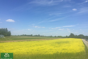 Działka na sprzedaż 1800m2 lubelski Jastków Snopków - zdjęcie 1