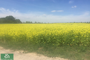 Działka na sprzedaż 1800m2 lubelski Jastków Snopków - zdjęcie 2