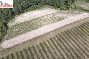 Działka na sprzedaż 2331m2 brodnicki Górzno Miesiączkowo - zdjęcie 1