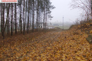 Działka na sprzedaż 1200m2 brodnicki Jabłonowo Pomorskie - zdjęcie 1