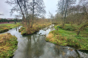 Działka na sprzedaż ciechanowski Glinojeck Wola Młocka - zdjęcie 2