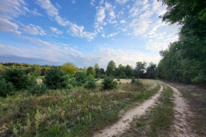 Działka na sprzedaż ciechanowski Ojrzeń Kałki - zdjęcie 2