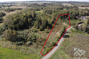 Działka na sprzedaż 4300m2 myszkowski Koziegłowy Rosochacz Przejazdowa - zdjęcie 3