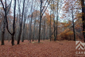 Działka na sprzedaż 7920m2 Dąbrowa Górnicza Ujejsce - zdjęcie 3