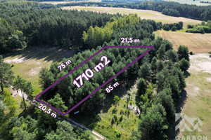 Działka na sprzedaż 1710m2 zawierciański Ogrodzieniec Kiełkowice Pielgrzymów - zdjęcie 1